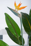 Paradijsvogels A: met Bloemen en Afneembare Bladeren