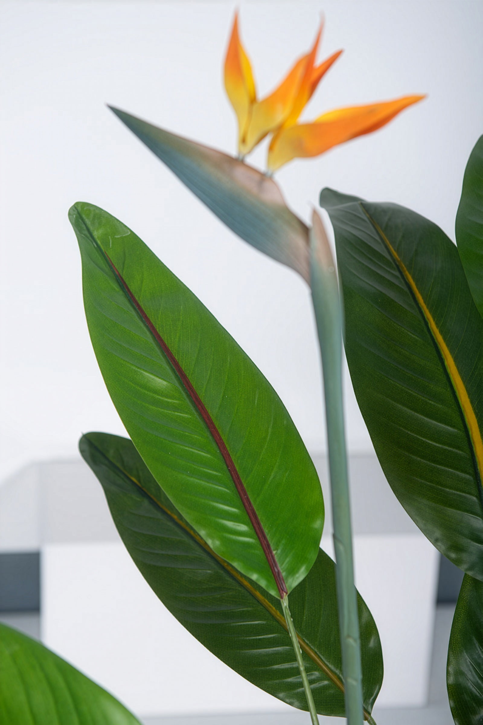 Paradijsvogels A: met Bloemen en Afneembare Bladeren