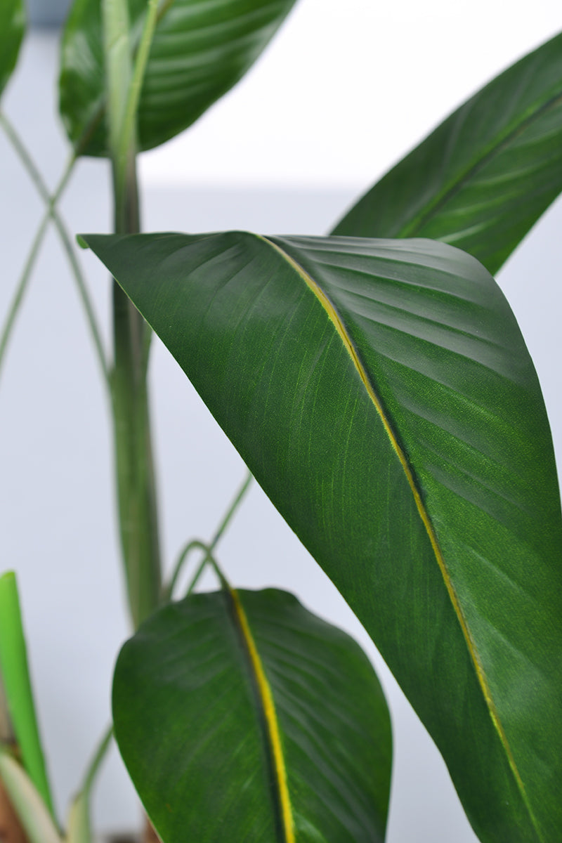 Birds of Paradise A: with Flowers and Detachable Leaves