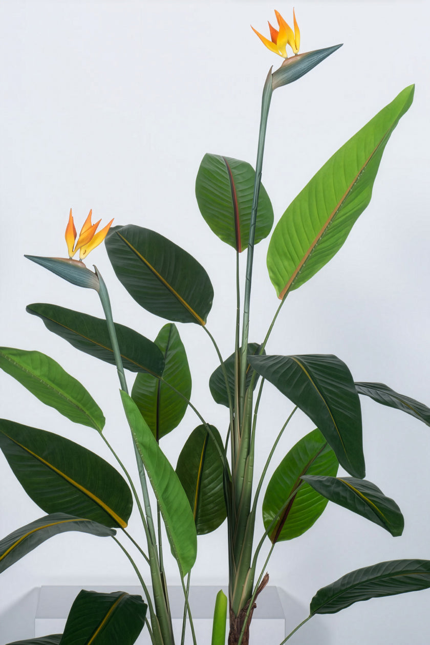 Paradijsvogels A: met Bloemen en Afneembare Bladeren