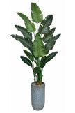 Birds of Paradise M: 3D-Printed Artificial Traveller’s Palm with Textured Tall Planter