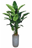 Birds of Paradise M: 3D-Printed Artificial Traveller’s Palm with Textured Tall Planter