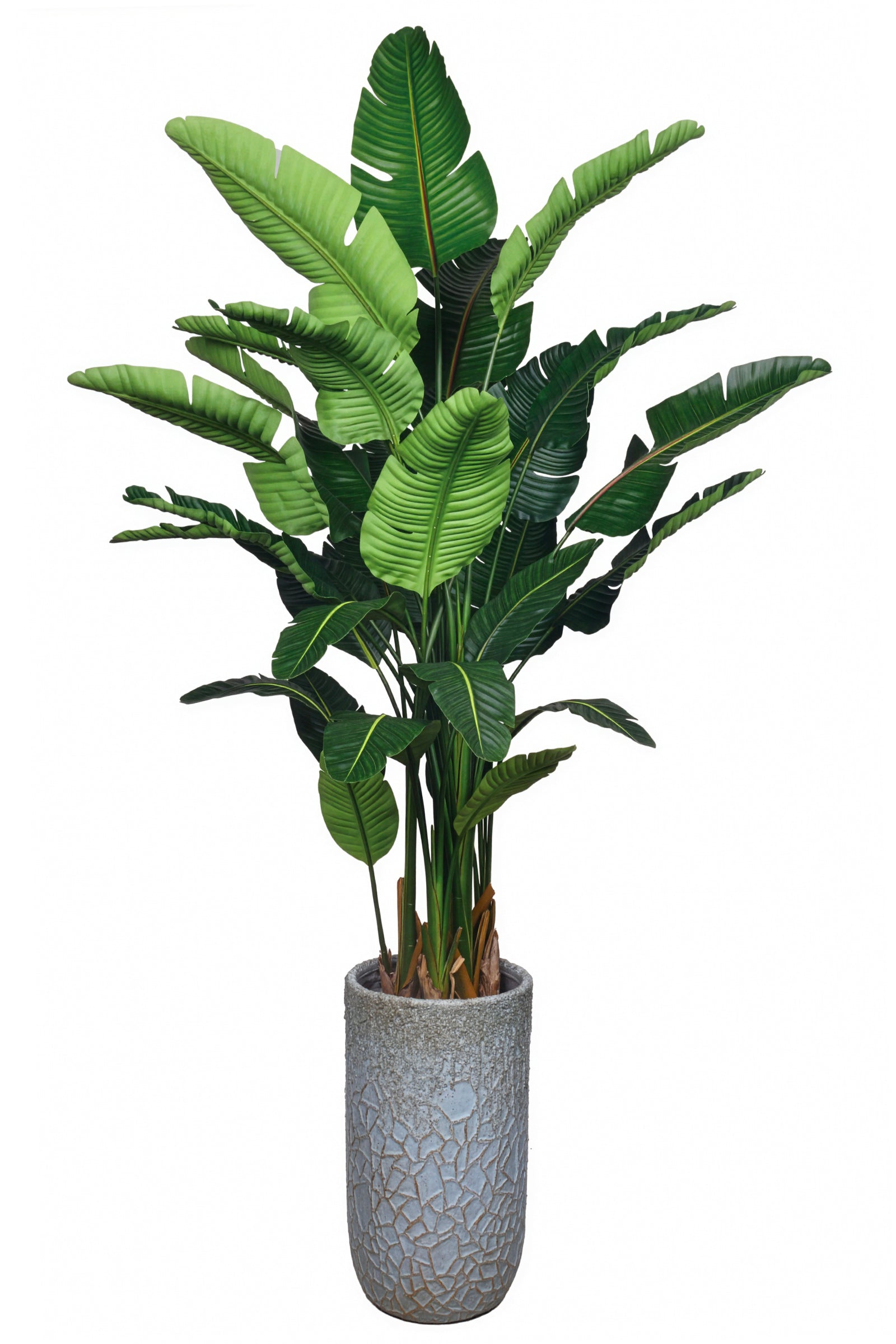 Birds of Paradise M: 3D-Printed Artificial Traveller’s Palm with Textured Tall Planter
