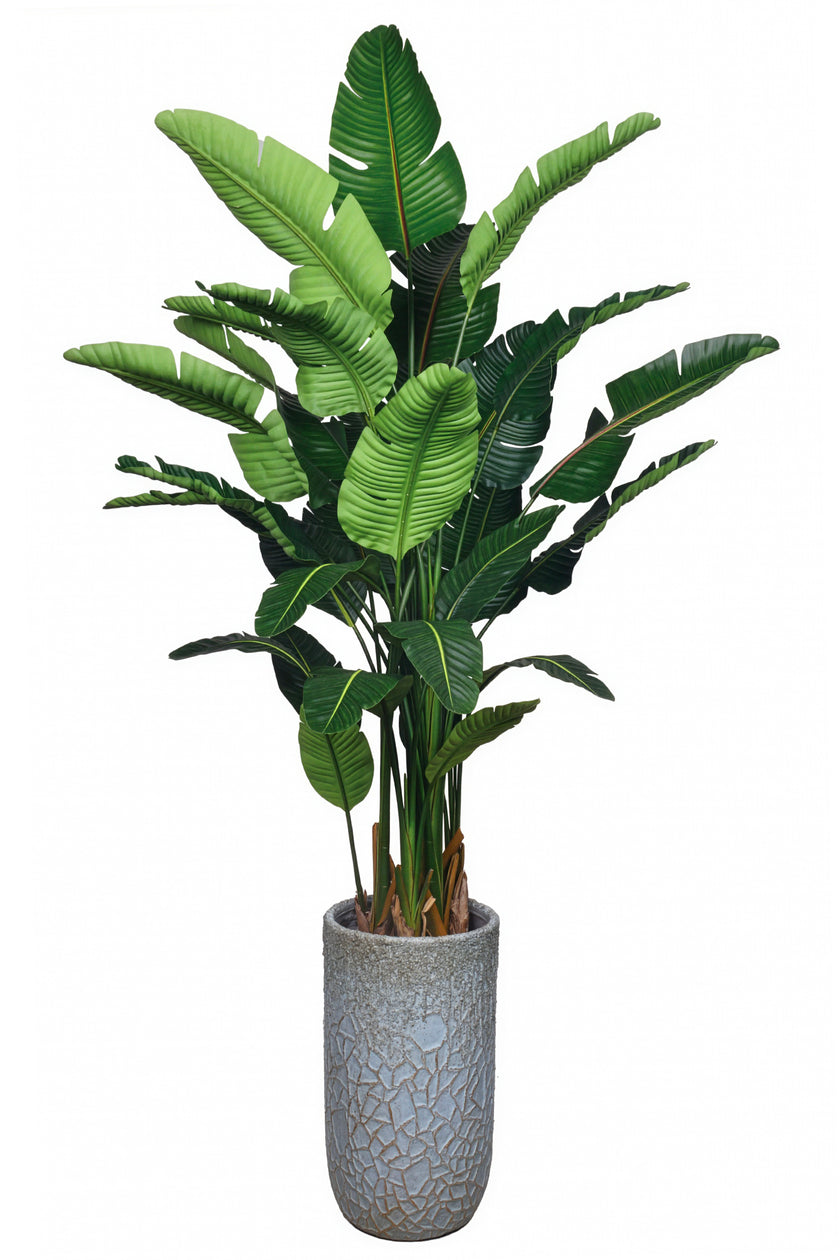 Birds of Paradise M: 3D-Printed Artificial Traveller’s Palm with Textured Tall Planter