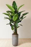 Birds of Paradise M: 3D-Printed Artificial Traveller’s Palm with Textured Tall Planter