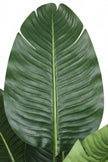 Birds of Paradise M: 3D-Printed Artificial Traveller’s Palm with Textured Tall Planter