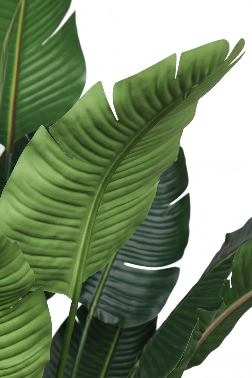 Birds of Paradise M: 3D-Printed Artificial Traveller’s Palm with Textured Tall Planter