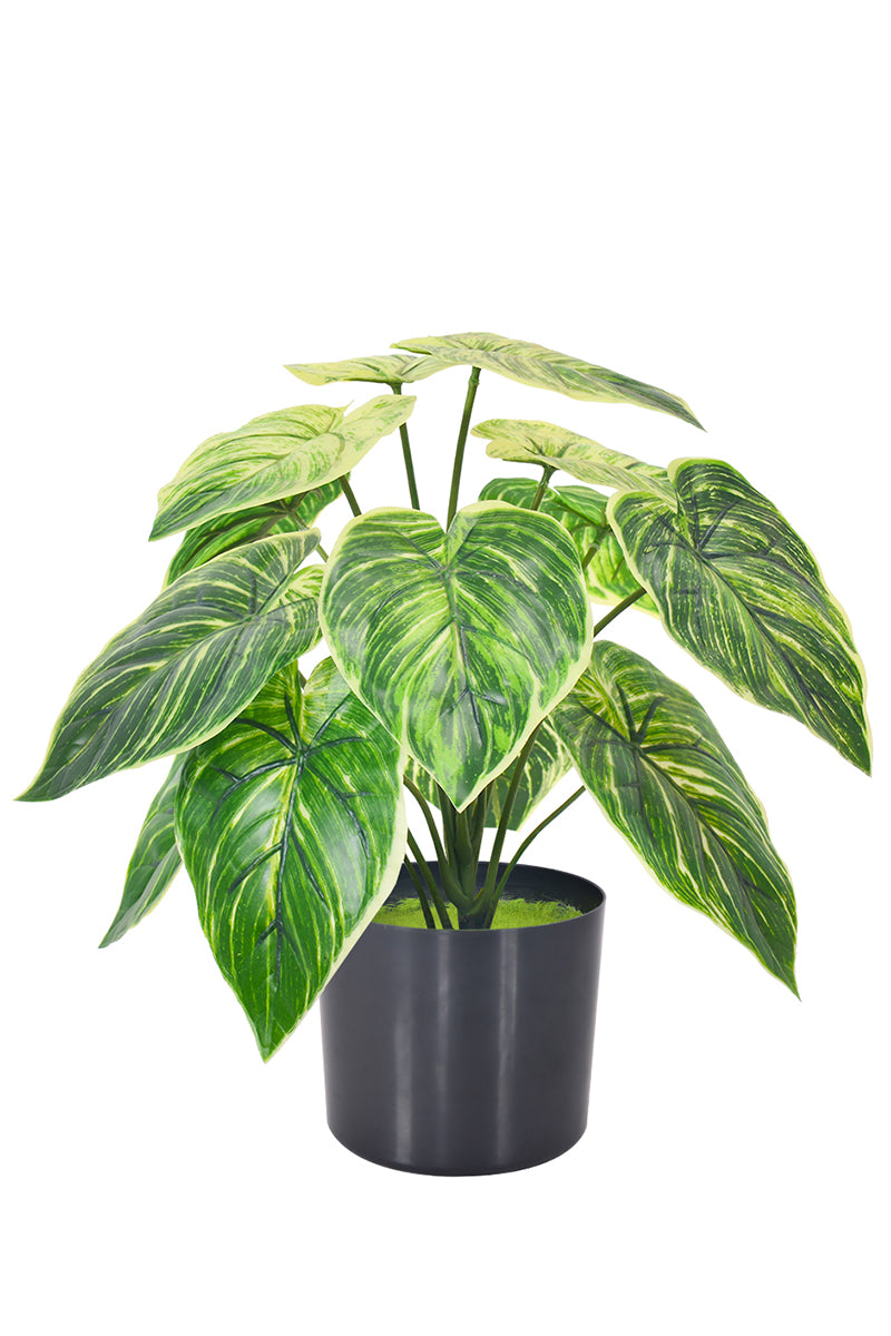 Artificial Alocasia Birkin Plant in Pot