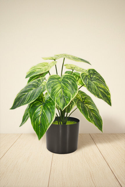 Artificial Alocasia Birkin Plant in Pot