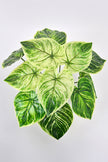 Artificial Alocasia Birkin Plant in Pot