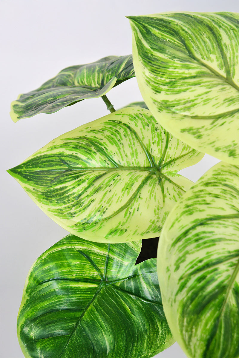 Artificial Alocasia Birkin Plant in Pot