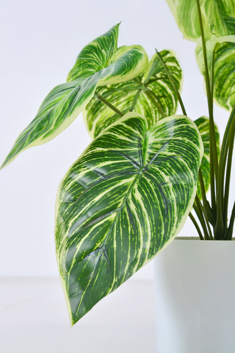 Artificial Alocasia Birkin Plant in Pot