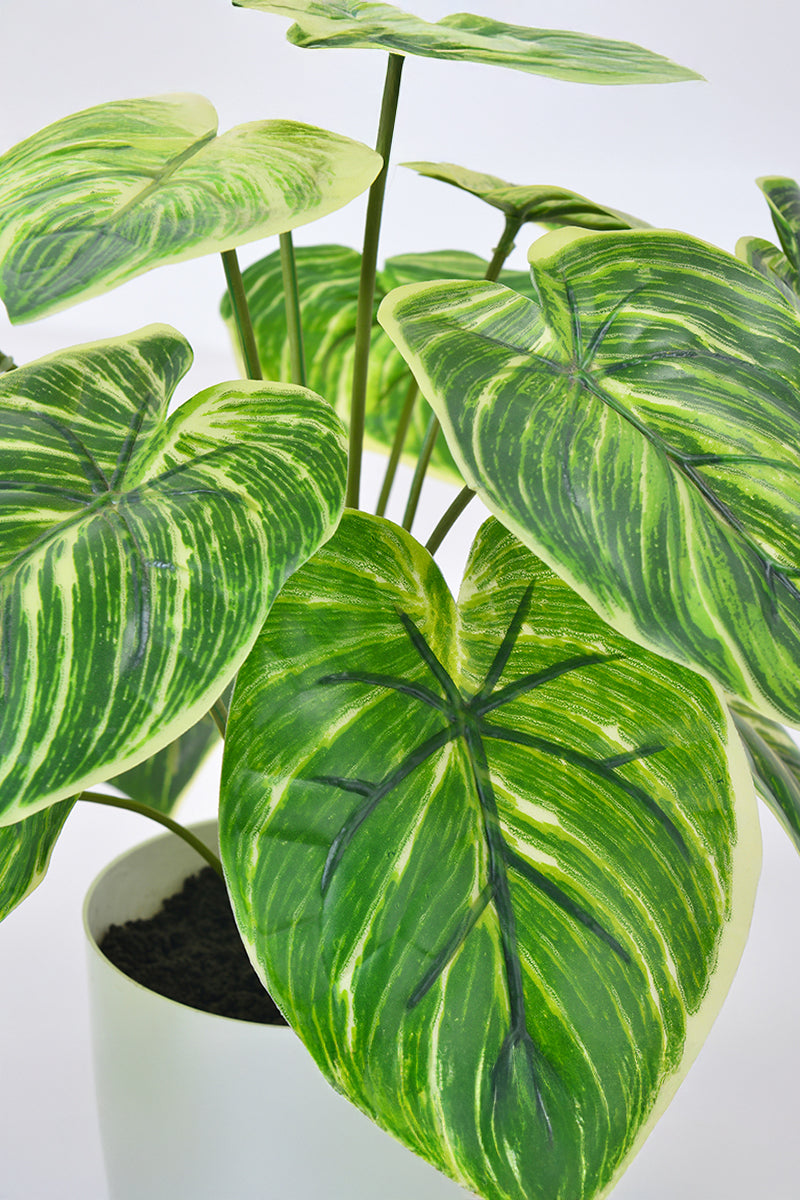 Artificial Alocasia Birkin Plant in Pot