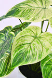 Artificial Alocasia Birkin Plant in Pot