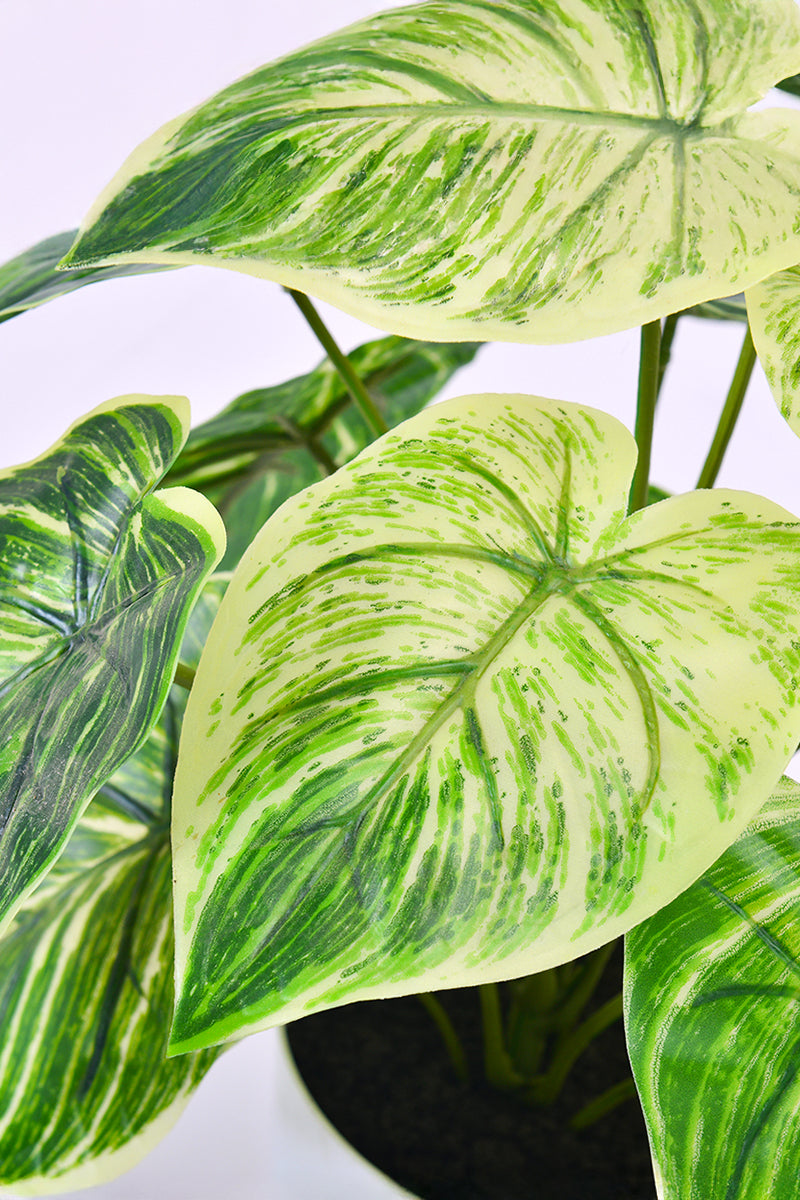 Artificial Alocasia Birkin Plant in Pot