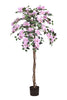 Bougainvillea A: Tree with Light Pink Flowers and Vines