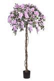 Bougainvillea A: Tree with Light Pink Flowers and Vines