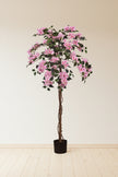 Bougainvillea A: Tree with Light Pink Flowers and Vines