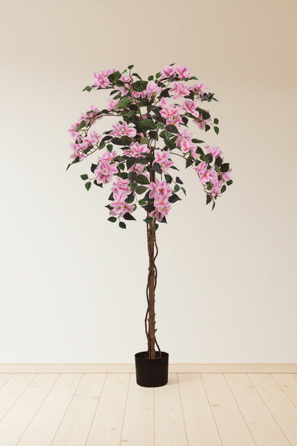Bougainvillea A: Tree with Light Pink Flowers and Vines