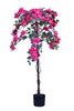 Bougainvillea B: with Fuchsia Flowers and Vine