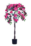 Bougainvillea B: with Fuchsia Flowers and Vine