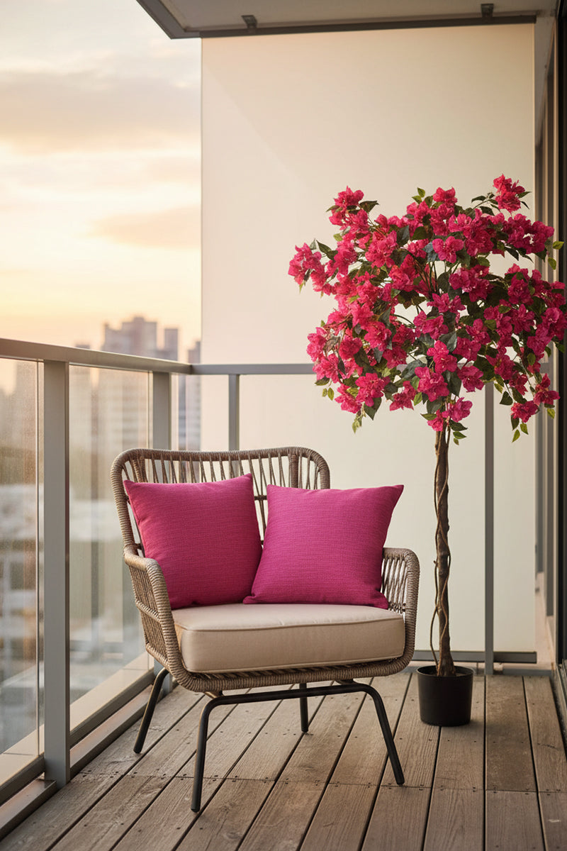 Bougainvillea B: with Fuchsia Flowers and Vine