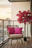 Bougainvillea B: with Fuchsia Flowers and Vine