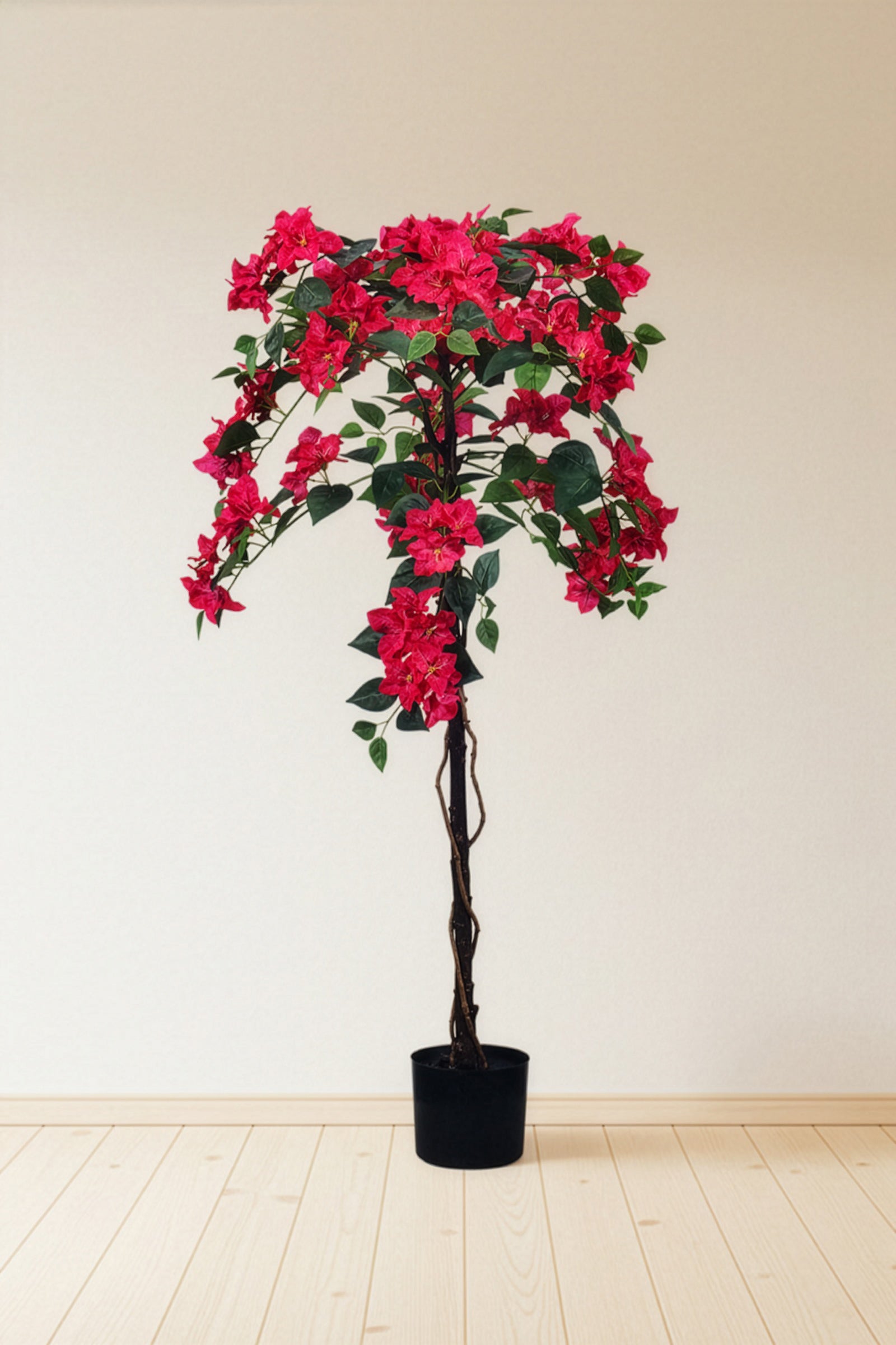 Bougainvillea B: with Fuchsia Flowers and Vine