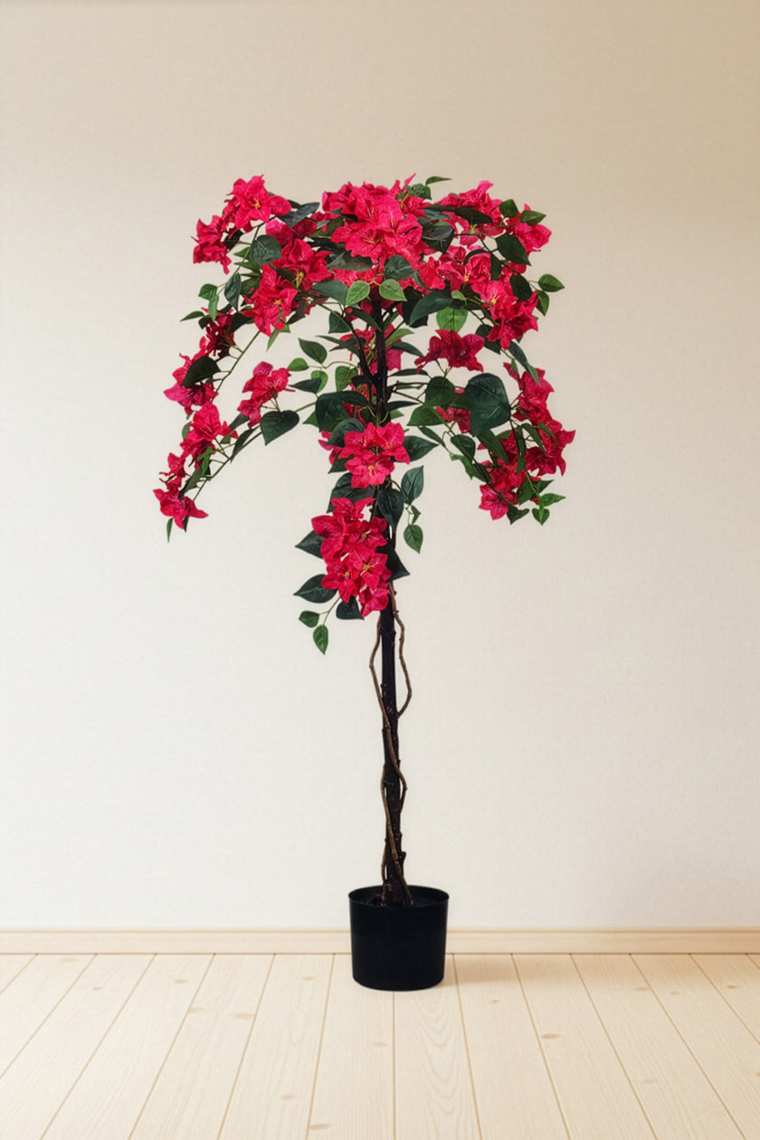 Bougainvillea B: with Fuchsia Flowers and Vine