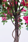 Bougainvillea B: with Fuchsia Flowers and Vine
