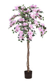 Bougainvillea A: Tree with Light Pink Flowers and Vines