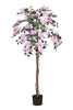 Bougainvillea A: Boom met lichtroze bloemen en lianen