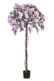 Bougainvillea A: Tree with Light Pink Flowers and Vines