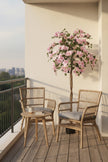 Bougainvillea A: Tree with Light Pink Flowers and Vines