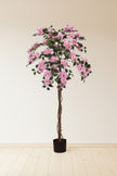 Bougainvillea A: Tree with Light Pink Flowers and Vines