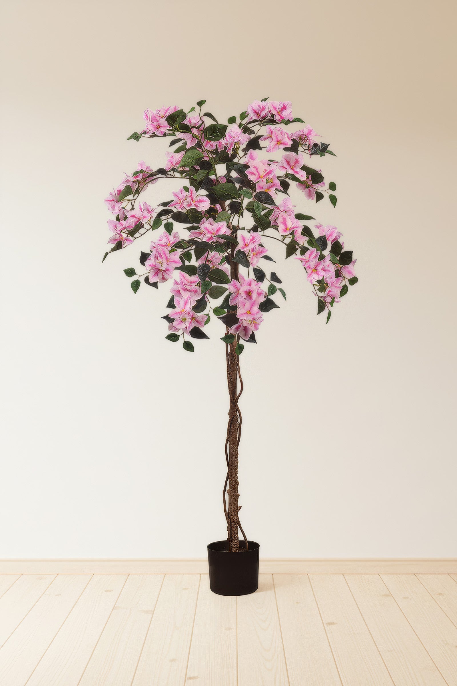 Bougainvillea A: Tree with Light Pink Flowers and Vines