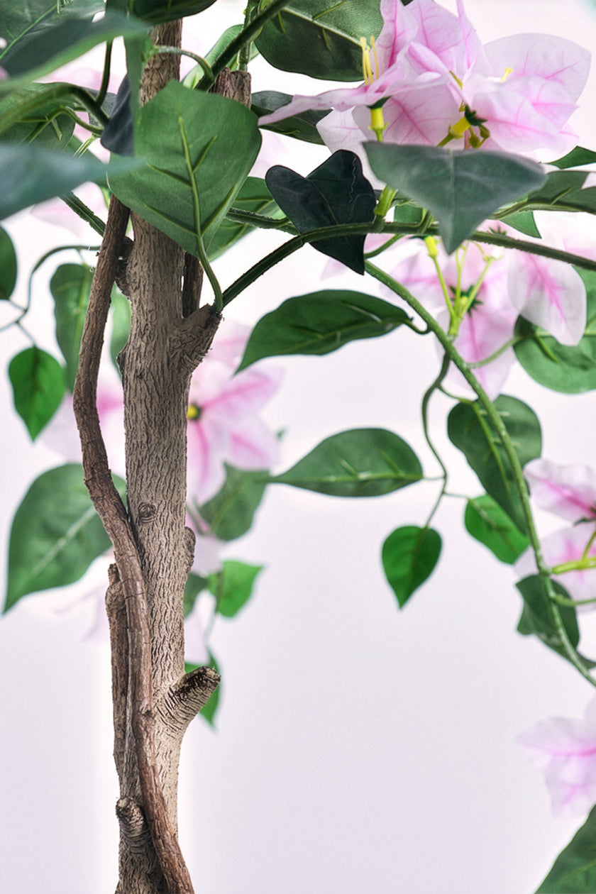 Bougainvillea A: Tree with Light Pink Flowers and Vines