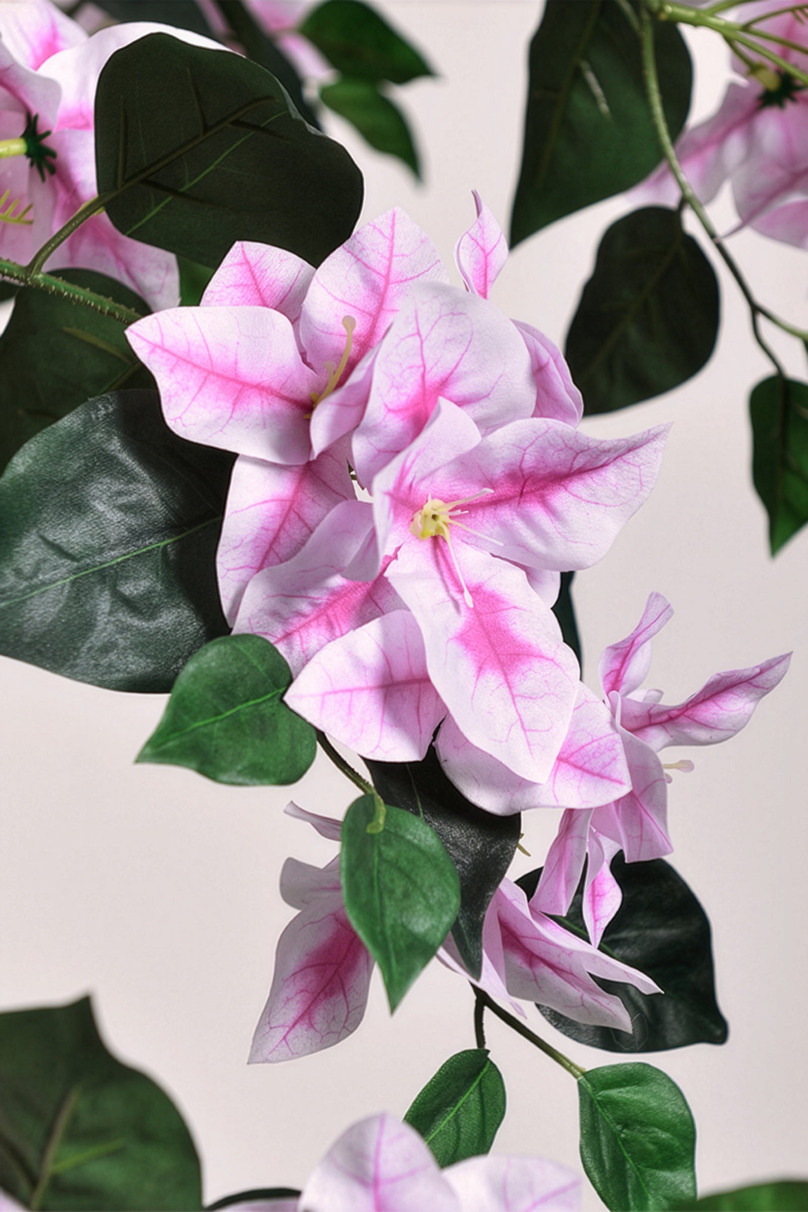 Bougainvillea D: Large Artificial Bougainvillea Tree with Light Pink Flowers and Planter