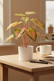 Artificial Pink & Green Caladium (Taro) Plant in Pot