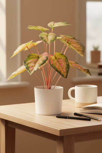 Artificial Pink & Green Caladium (Taro) Plant in Pot