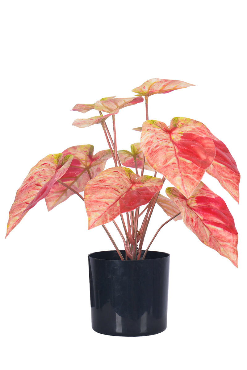 Artificial Pink Caladium (Taro) Plant in Pot