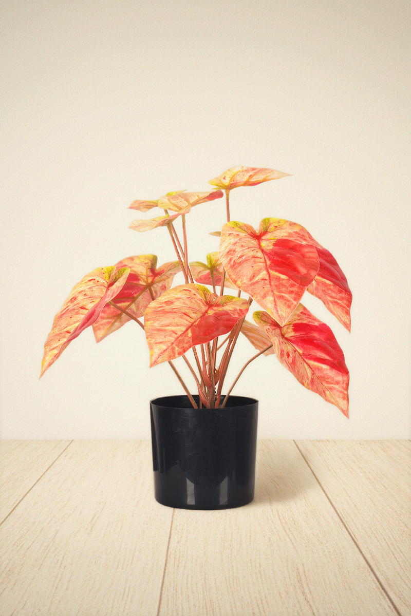 Artificial Pink Caladium (Taro) Plant in Pot