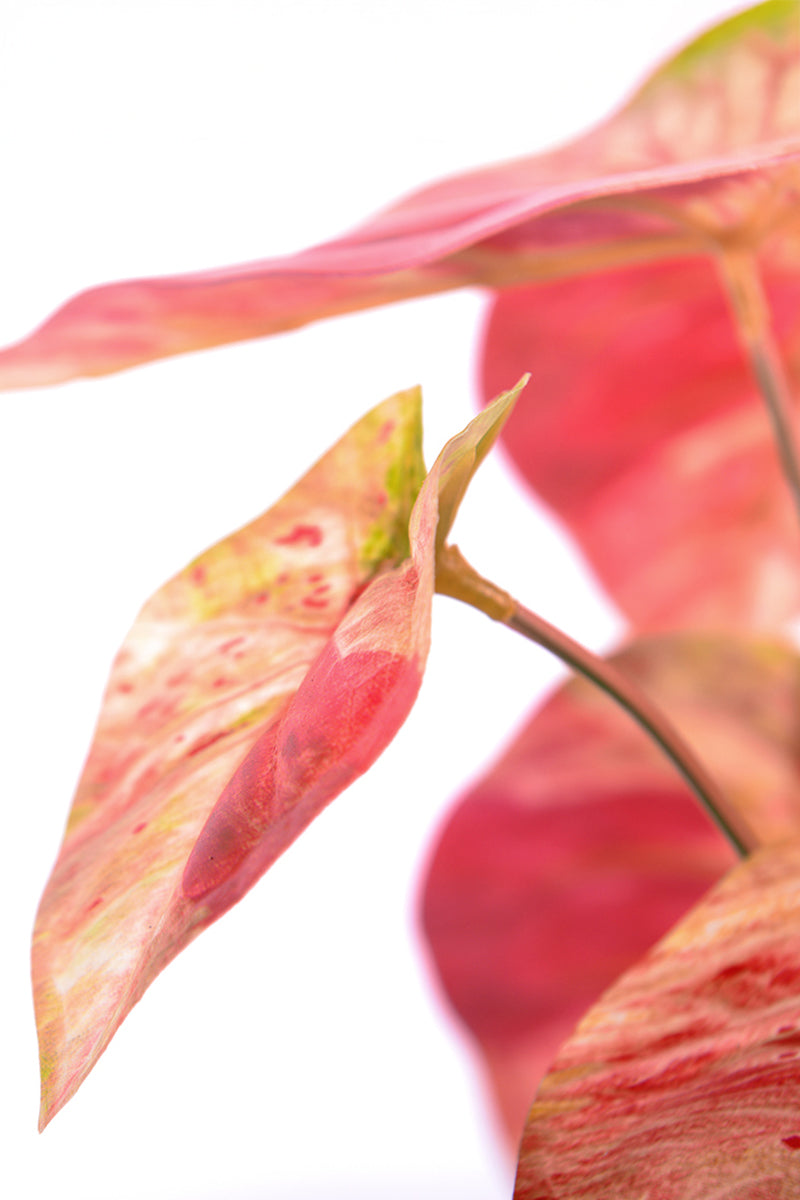 Artificial Pink Caladium (Taro) Plant in Pot