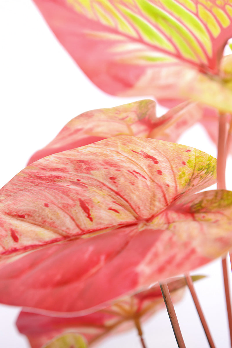 Artificial Pink Caladium (Taro) Plant in Pot