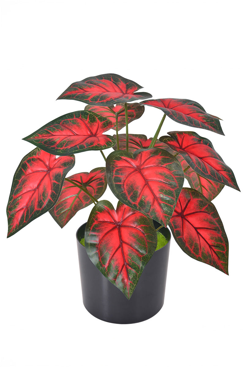Artificial Red Taro Plant in Pot