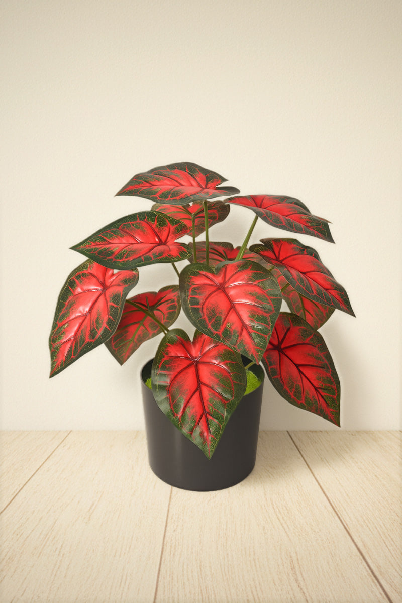 Artificial Red Taro Plant in Pot