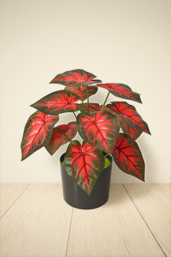 Artificial Red Taro Plant in Pot