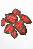Artificial Red Taro Plant in Pot