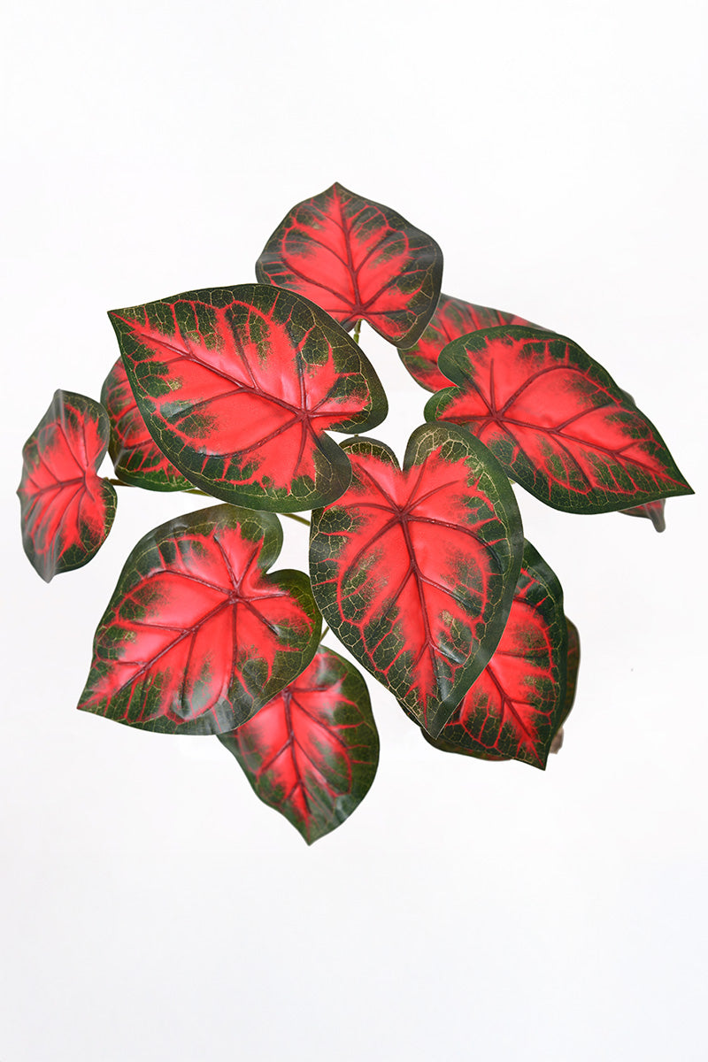 Artificial Red Taro Plant in Pot
