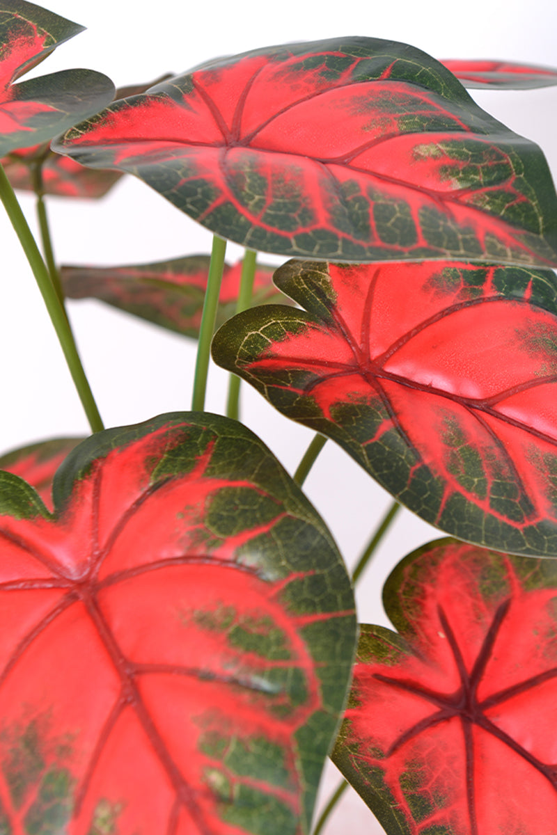 Artificial Red Taro Plant in Pot
